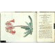 Curtis's Botanical Magazine ... Vol. 52