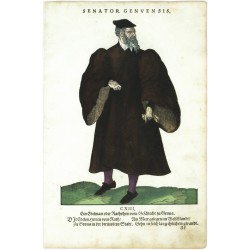 Senator Genuensis