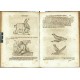 Bücher und Schrifften, von Natur, Art und Eygenschafft aller Creaturen oder ...