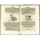 Bücher und Schrifften, von Natur, Art und Eygenschafft aller Creaturen oder ...