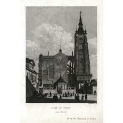 Dom St. Veit (von West)