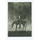 Don Quichote