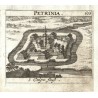 Petrinia