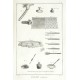 Encyclopédie - Gravure