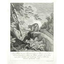Diser Fuchs mit zwey Schwänzen ist ... 1734 ... geschossen