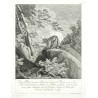 Diser Fuchs mit zwey Schwänzen ist ... 1734 ... geschossen