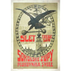 Slet Sokolské župy plukovník Švece, Třebíč, 1924