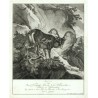 Anno 1728 ... haben  ... disen Hirsch ... geschossen