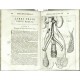 Corporis humani disquisitio anatomica