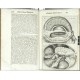 Corporis humani disquisitio anatomica
