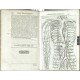 Corporis humani disquisitio anatomica