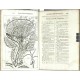 Corporis humani disquisitio anatomica