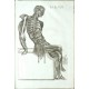 Tabulae anatomicae ...