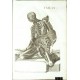 Tabulae anatomicae ...