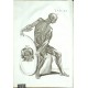 Tabulae anatomicae ...