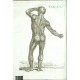 Tabulae anatomicae ...