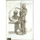 Tabulae anatomicae ...