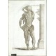 Tabulae anatomicae ...