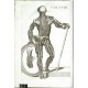 Tabulae anatomicae ...