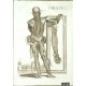 Tabulae anatomicae ...