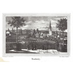 Neschwitz - Frankenstein