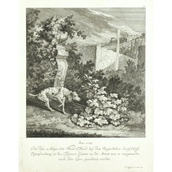 Anno 1734. Ist diser ... Hüner Hund ... nach dem leben gezeichnet worden