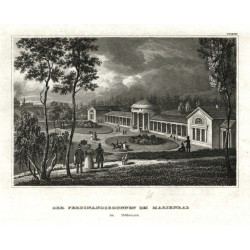 Mariánské Lázně, Ferdinandův pramen - Der Ferdinandsbrunnen bei Marienbad, ocelorytina, 1840