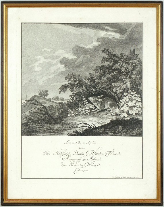 Ridinger - Zajíc - Anno 1718 haben disen Haasen Gebaizet, mědirytina, 1768