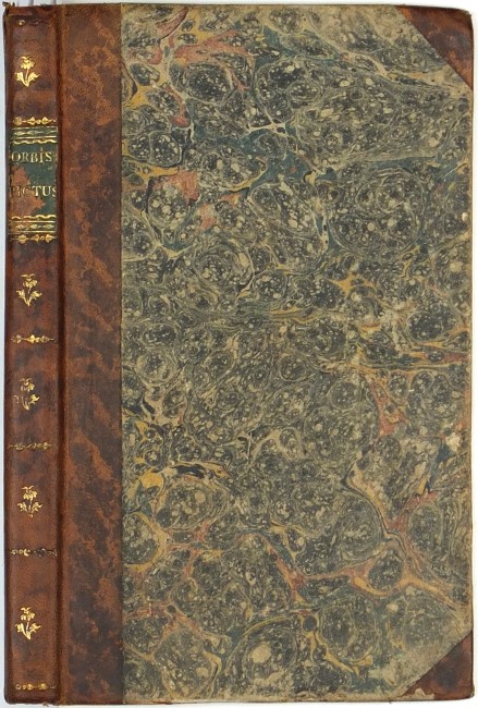 Komenský - Orbis Pictus. A' Vilag Le-Festve. Die Welt in Bildern, Bratislava, 1798