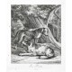 Ridinger - Hunting dogs, Sau-Rüden, copperplate, 1738