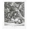 Ridinger - Jagdhunde, Sau-Rüden, Kupferstich, 1738