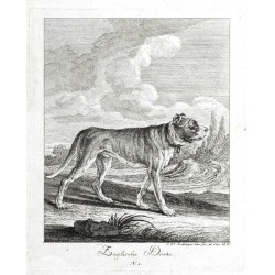 Entwurff Einiger Thiere ... Erster Theil ... von denen Arthen der Hunde