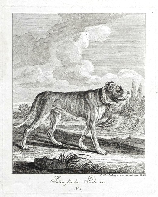 Entwurff Einiger Thiere ... Erster Theil ... von denen Arthen der Hunde