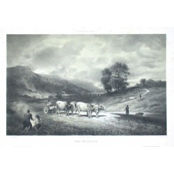 Aus Reichenau