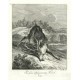 Ridinger - Killed deer, Par force Tod-gestürzter Hirsch, , copperplate engrving, 1738