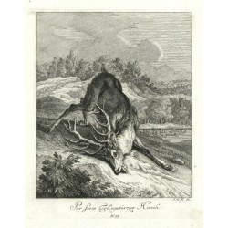 Ridinger - Par force Tod-gestürzter Hirsch, Kupferstich, 1738