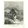 Ridinger - Killed deer, Par force Tod-gestürzter Hirsch, , copperplate engrving, 1738