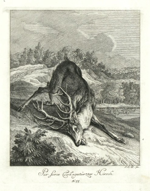 Ridinger - Par force Tod-gestürzter Hirsch, Kupferstich, 1738