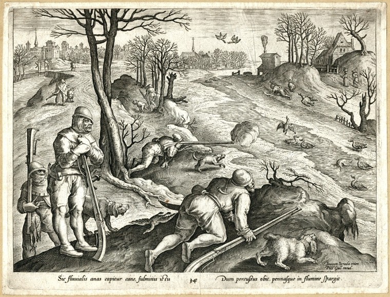Entenjagd - Sic fluuialis anas capitur cane, Kupferstich, Stradanus, Galle, 1600