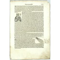 Hartmann Schedel - Liber Chronicarum, 1493 - Folium CCL