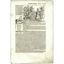 Hartmann Schedel - Liber Chronicarum, 1493 - Folium CCXVII