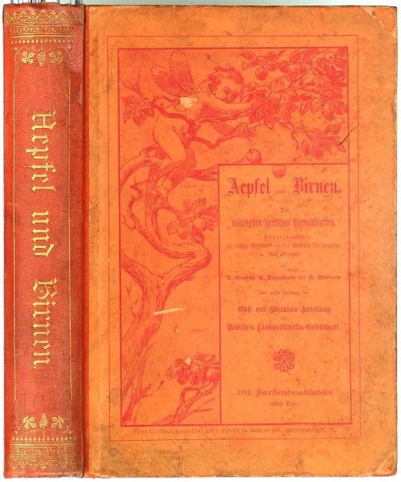 Aepfel und Birnen, Berlín, 1894, jablka a hrušky - 104 chromolitografických tabulí