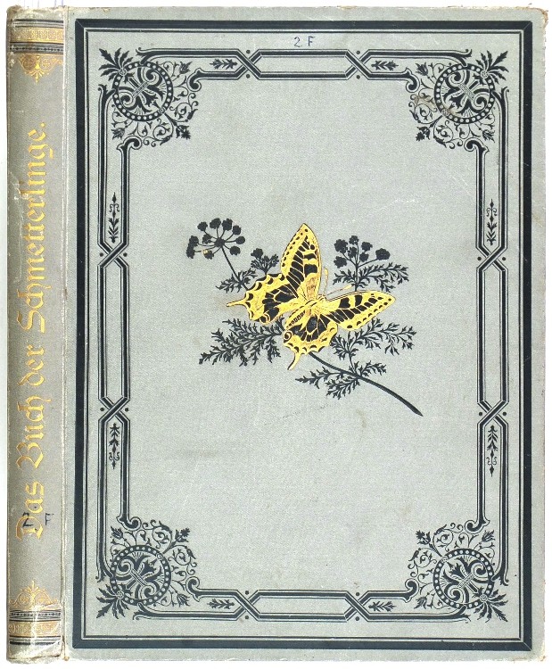 Lutz - Das Buch der Schmetterlinge - Stuttgart, 1889