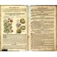 Mattioli - Herbář aneb Bylinář - Praha, Daniel Adam z Veleslavína, 1596