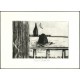 Anderle, Born, Lhoták, Tichý - Stopy Františka Dvořáka, Galerie Honor, 2000