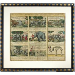 Sloni - Abbildliche Geschichte der Landthiere ... die Elephanten, mědirytna, Homann, 1746