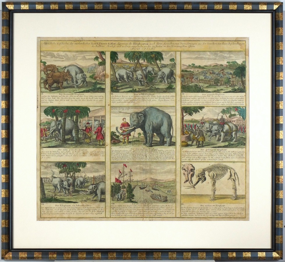Sloni - Abbildliche Geschichte der Landthiere ... die Elephanten, mědirytna, Homann, 1746