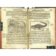 Kryštof Harant - Putování aneb cesta z Království českého ... do Egypta, Praha, 1608