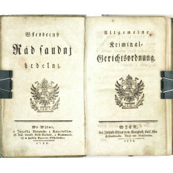 Kriminální řád Josefa II. - Wsseobecný Řád saudnj hrdelnj, 1788