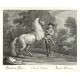 Ridinger - Dánský kůň - Cheval Danois, mědirytina, 1750